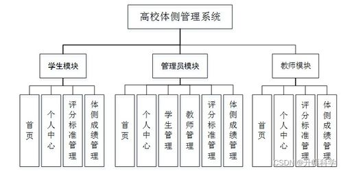 SSM高校體質(zhì)測試管理系統(tǒng)（DP69W） 應(yīng)對計算機畢業(yè)設(shè)計困難的解決方案